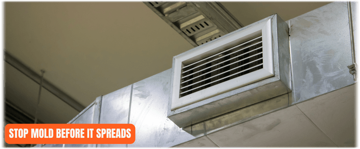 Air Duct Mold Removal in Frisco